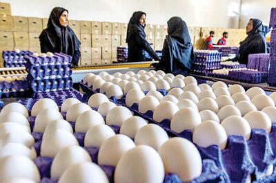  تخم‌مرغ رکورد زد/ شانه‌ای ۲۲۰ هزار تومان در بازار