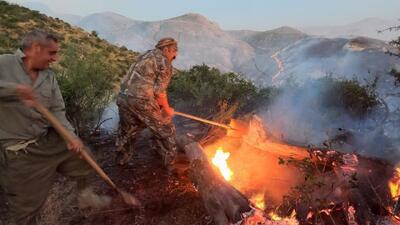  استمرار آتش‌سوزی در جنگل‌های هیرکانی/ ۶ نقطه گلستان گرفتار حریق است