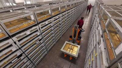  چگونه قمار طلای روسیه به ثمر نشست