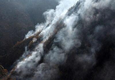  بحران جنگل‌های هیرکانی و بی‌تفاوتی مسئولان