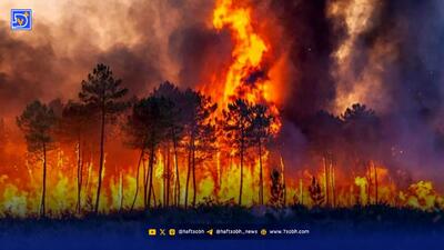  چندین نقطه در گلستان همچنان می‌سوزد