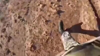  گوشه هایی از اقتدار هوابرد نیروی زمینی ارتش+فیلم