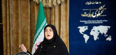  توضیح سخنگوی دولت درباره سهمیه بنزین تاکسی‌های اینترنتی و خودروهای نوشماره