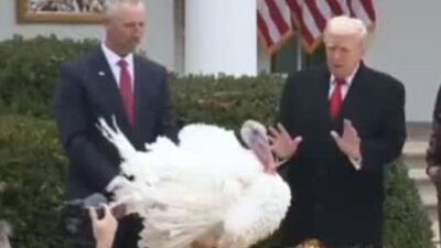  ترامپ صدای بوقلمون را تقلید کرد!