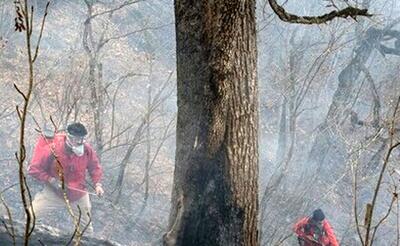  مهار ۹۵درصدی آتش‌سوزی جنگل‌های الیت