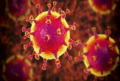  سایه سرد آنفلوآنزا بر روزهای پاییزی خراسان‌شمالی