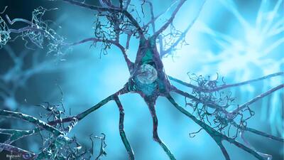  مکملی برای فشار خون بالا نشانه‌های آلزایمر را محو کرد!