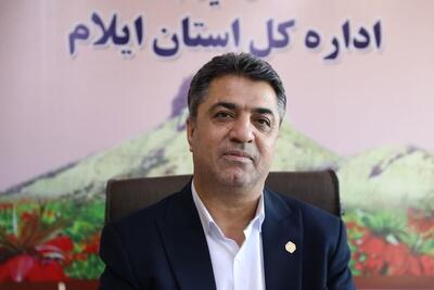  عدالت بیمه‌ای و شفافیت، راهبرد اصلی تأمین اجتماعی در ایلام