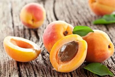  زردآلو: از خواص شگفت انگیز تا مضرات و موارد احتیاط