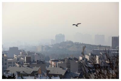  آلوده‌ترین شهرهای کشور کدامند؟/ هر 13 دقیقه یک مرگ در کشور به علت آلودگی هوا