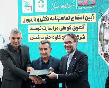  همراهی فولاد کاوه برای حفظ نسل آهوی کوهی ایرانی