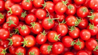  جهش بی‌سابقه قیمت گوجه‌فرنگی طی ۱۰روز