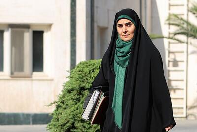  اصرار استیضاح کنندگان بر برکناری وزیر راه/ نماینده تهران: سطح خانم صادق حتی در حد معاون وزیر هم نیست | اقتصاد24