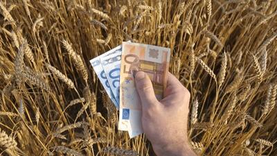  فدراسیون طیور ایران: بانک مرکزی تامین ارز برای نهاده‌های دام و طیور را انجام نداده؛ از سال گذشته نیز ۵ میلیارد دلار به واردکنندگان بدهکار است/ برای ۶ ماهه امسال در مجموع باید برای صنعت طیور ۳.۵ میلیارد دلار تامین می‌شد، اما این اتفاق نیفتاد