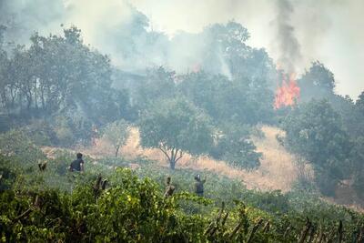  خبر خوب از گالیکش و کلاله؛ آتش جنگل هیرکانی در چند نقطه خاموش شد
