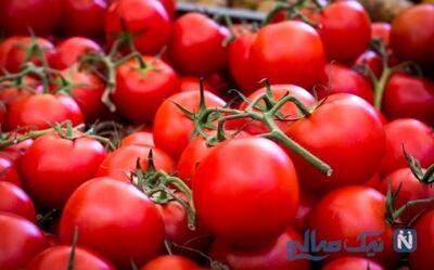  قیمت گوجه فرنگی به ۸۰ هزار تومان هم رسید | ماجرای گرانی چند برابری گوجه فرنگی