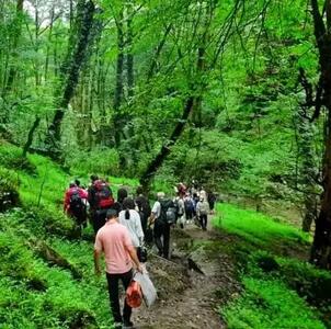  ورود گردشگران، کوهنوردان و آفرودسواران به جنگل‌های سوادکوه تا اطلاع ثانوی ممنوع شد