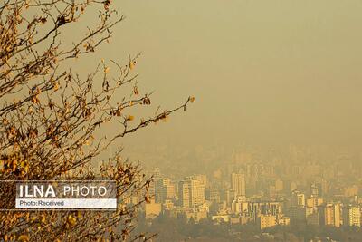  نفسم گرفت از این شهر