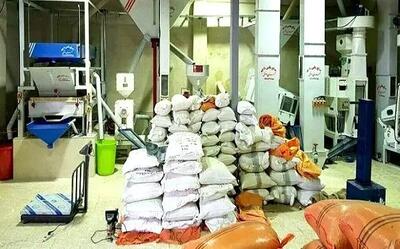  نوسازی و تجهیز ۴۰۷ واحد شالیکوبی در گیلان