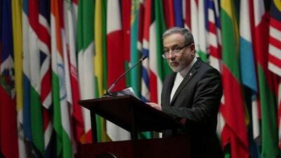  مطالبه ایران از آلمان برای انتشار نتایج تحقیقات درباره حمایت از برنامه شیمیایی صدام