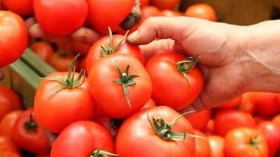  قیمت گوجه‌فرنگی در عمده‌فروشی‌ و خرده فروشی ها