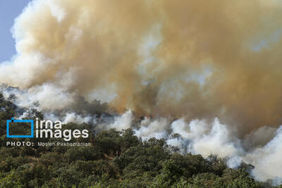  شمارش معکوس هیرکانی؛ همه‌چیز به باران پنجشنبه بستگی دارد
