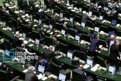  نماینده مجلس: هرگونه تصمیم درباره سازمان عشایری باید با دقت و توجه کامل اتخاذ شود