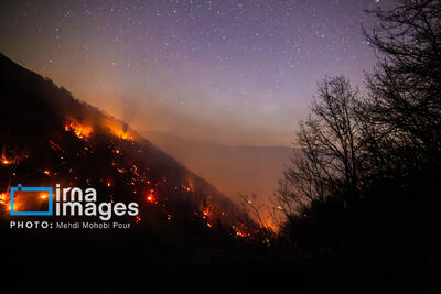 ورود به جنگل‌های هیرکانی، زاگرس و ارسباران تا بارش مؤثر ممنوع شد