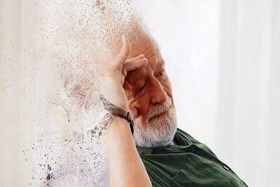  تاثیر آلودگی هوا بر پیری زودرس مغز