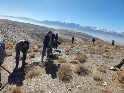  بیابان‌زدایی، تثبیت خاک و بهبود وضعیت پوشش گیاهی در مراتع «زاغه‌انوج»
