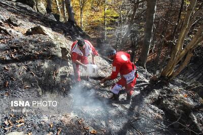  فرمانده یگان حفاظت محیط زیست گلستان: طوفان آتش در گلستان آرام گرفت