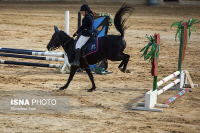  انتخابات سوارکاری به دور دوم کشیده شد