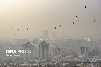  هوای برخی مناطق البرز از وضعیت قرمز عبور کرد