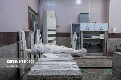  مدیرعامل آرامستان‌های مشهد: طرح ریموو ناخن‌ کاشته‌شده، تکلیف فقهی و مطالبه خانواده‌ها را حل کرد