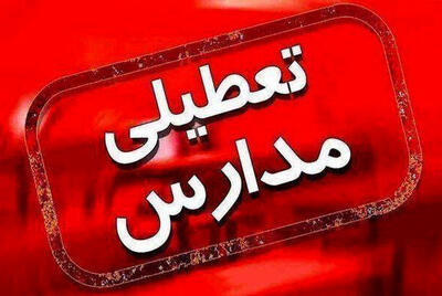  فوری/ مدارس تهران تا پایان هفته تعطیل شد+ جزئیات