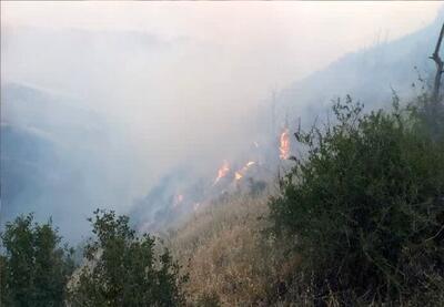  آتش‌سوزی گسترده در جنگل هیرکانی ابر شاهرود آغاز شد