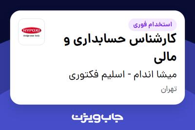  استخدام کارشناس حسابداری و مالی - خانم در میشا اندام - اسلیم فکتوری