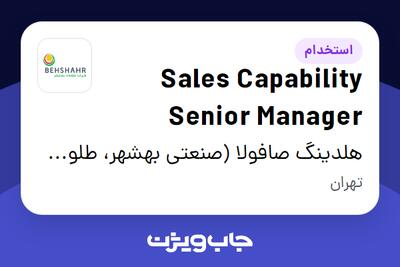  استخدام Sales Capability Senior Manager در هلدینگ صافولا (صنعتی بهشهر، طلوع پخش آفتاب و گندم طلایی نوتریکا)