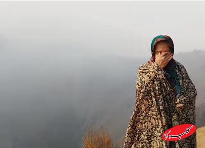  خراب‌کاری عمدی در کشور؛ ۲۰ نفر دستگیر شدند | با نوع متفاوتی از تروریسم غربی علیه ایران طرفیم - کلبه سرگرمی