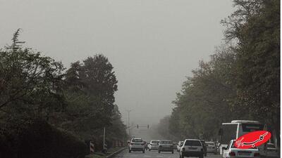  هوای آلوده راه ورود ویروس‌ها به بدن را هموار می‌کند - کلبه سرگرمی