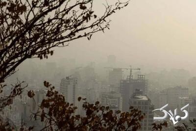  اگر بر اثر آلودگی هوا این علائم را داشتید به اورژانس مراجعه کنید + ویدئو - مجله اینترنتی کولاک