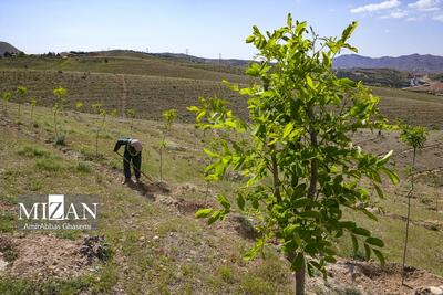  ایجاد شبکه ۱۳۰ کیلومتری انتقال پساب برای آبیاری فضای سبز تهران