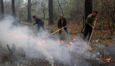  سیستم هشدار برای آتش‌سوزی جنگلی ایجاد شود