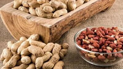  با این مغز سالم روند پیری را متوقف کنید!