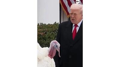 فیلم گفتگوی جالب ترامپ با بوقلمون! + فیلم