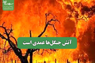  آتش جنگل‌ها عمدی است