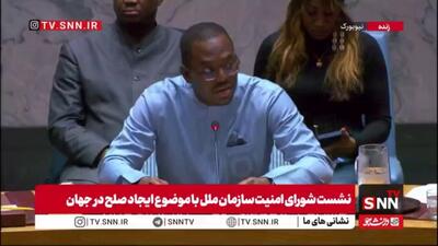 پیشنویس قطعنامه 2805 با موضوع ایجاد صلح در جهان با 15 رای موافق تصویب شد