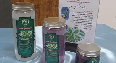  نوآوری ایرانی در مهار سرمازدگی گیاهان/  محافظت از گیاهان تا منفی ۱۰ درجه
