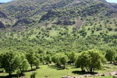  ورود به جنگل‌های هیرکانی، زاگرس و ارسباران تا بارش مؤثر ممنوع شد