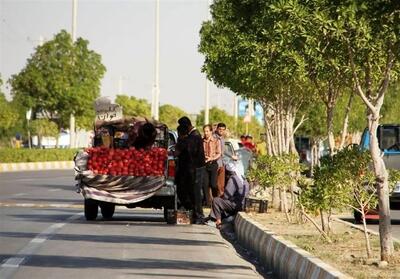  657 هزار وانت‌بار فروش میوه اعمال قانون شدند - تسنیم